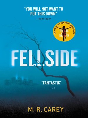 cover image of Fellside